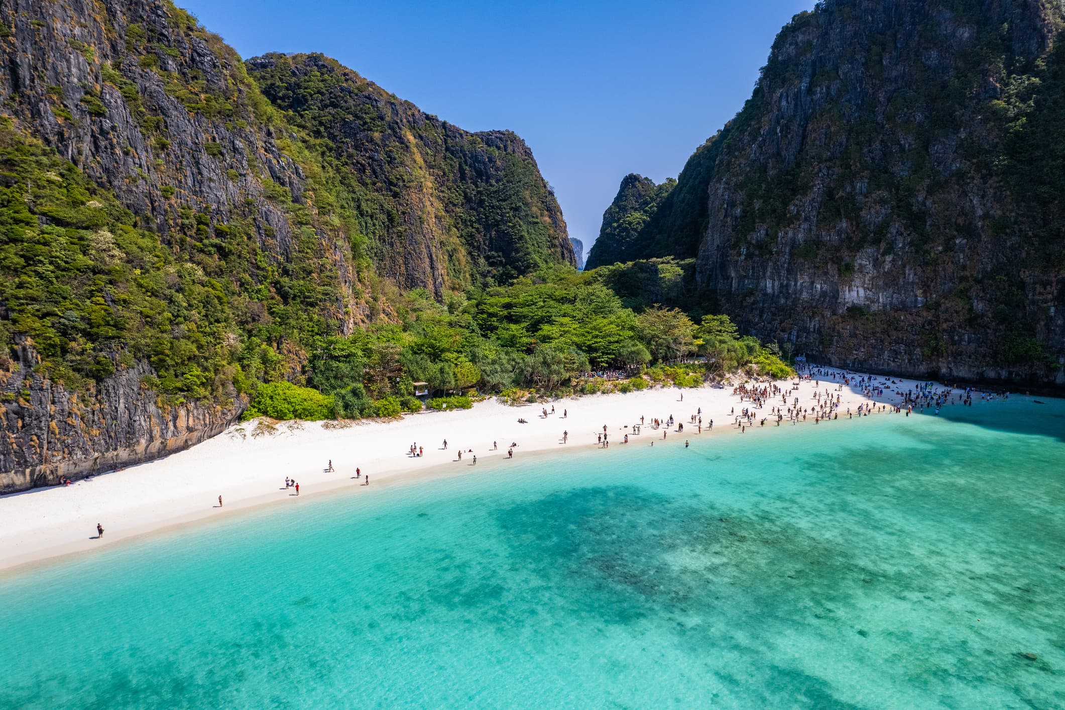 Phi Phi Islands Paradise