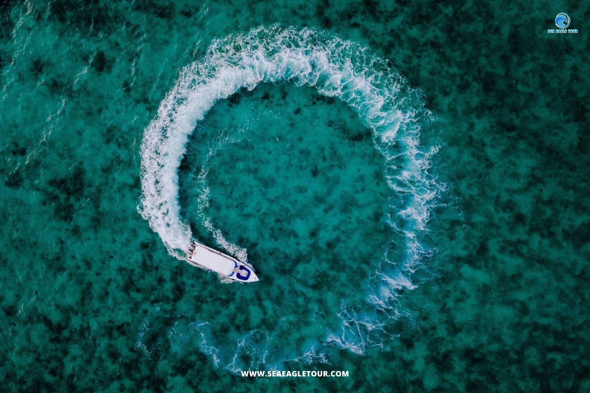 Hero image for Phi Phi & Bamboo Island One Day Speedboat Tour From Krabi